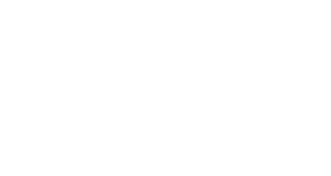 lori-lane-logo white